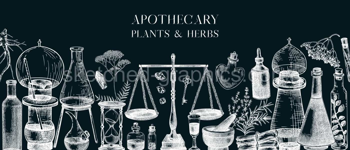 Antique apothecary banner. Medicinal herbs background. Hand-drawn vector illustrations. Alchemy glassware sketches on chalkboard. NOT AI generated Illustration